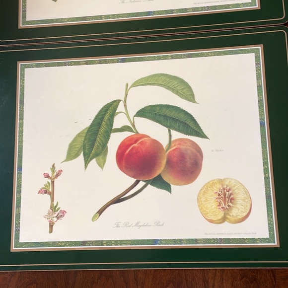 VTG PIMPERNEL Brunch Fruits Placemats Set of 3 Cork back Made in England - Picture 3 of 9